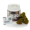 Bee Products CBD Gelato