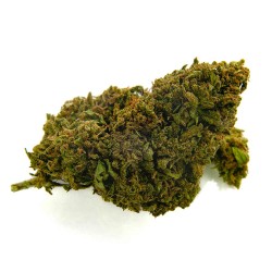 Bee Products Flores CBD 'Lemon Haze'