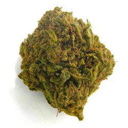Bee Products Flores CBD 'Bubble Gum'