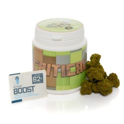 Bee Products CBD Critical