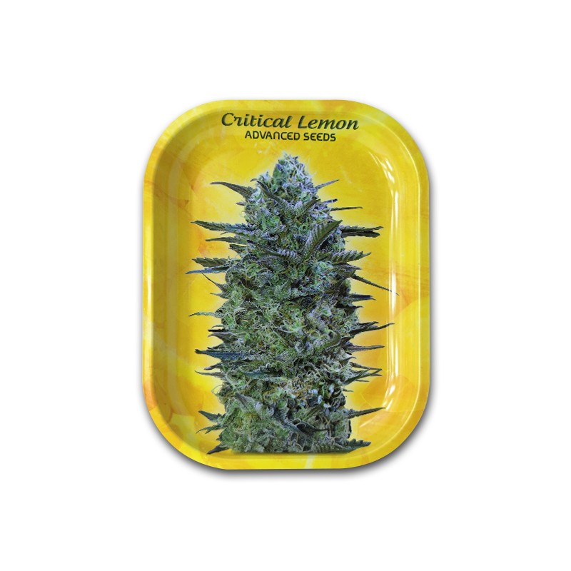 Critical Lemon Bandeja de liar pequeña